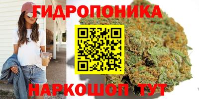 винт Будённовск