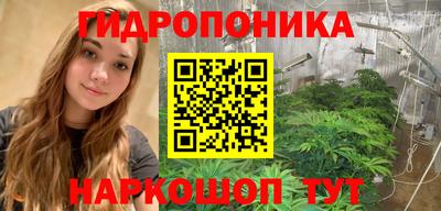 винт Будённовск