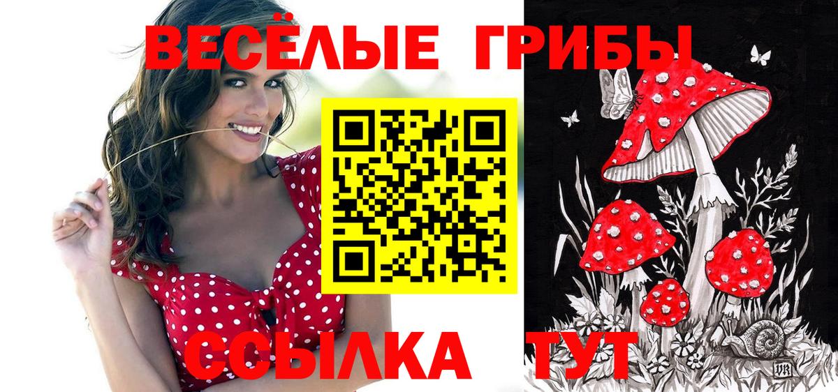 Котовск  Галлюциногенные грибы прущие грибы  Вход с VPN 