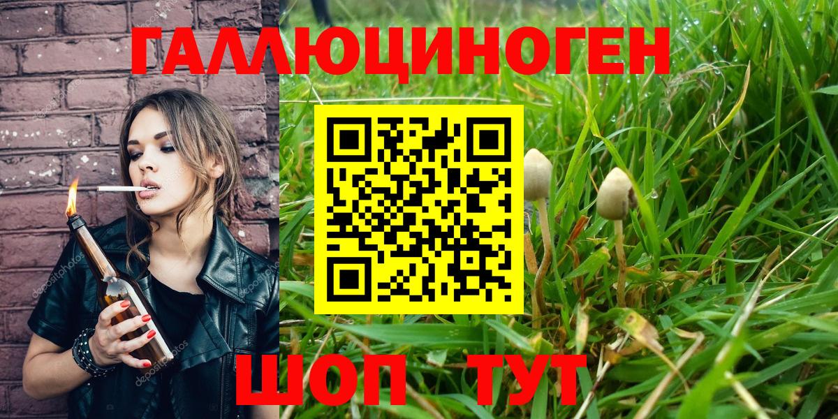 Галлюциногенные грибы прущие грибы Котовск